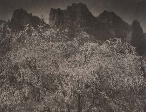 Mt.Myogi #1, 2020