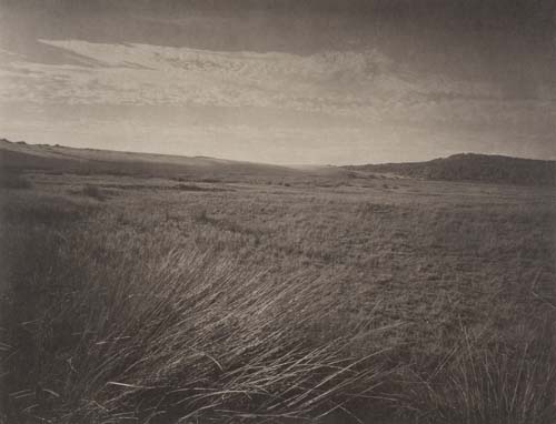 Dunas de Corrubedo #1, 2013