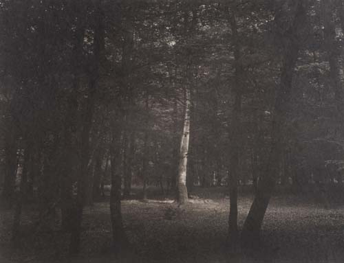 Cerisy la Foret #2, 2013