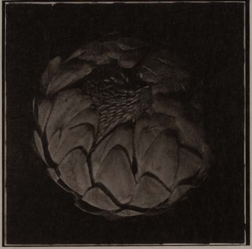 Seeds #13, 2016