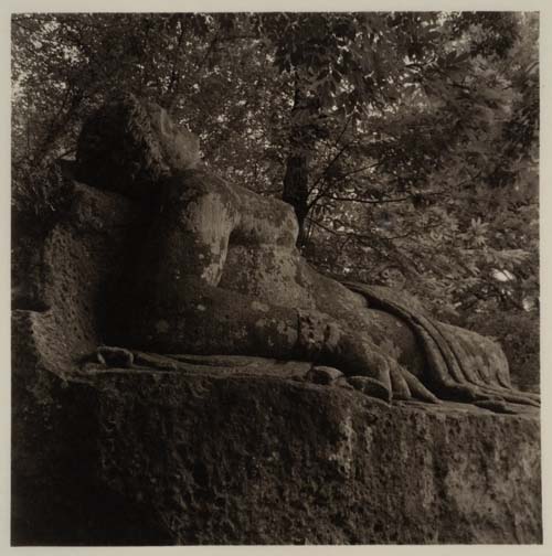 Bomarzo #16, 2014