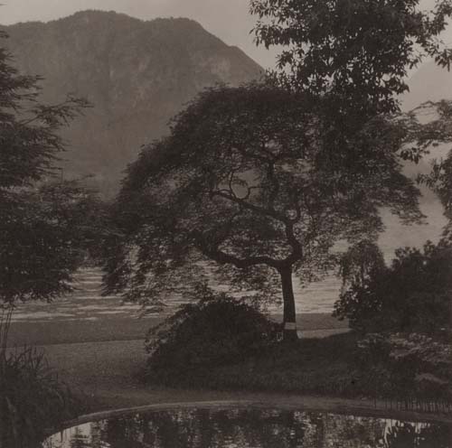 Lago di Como #1, 2014